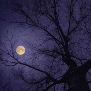 دانلود آهنگ ونا و قورستان قلبم بکم چالت