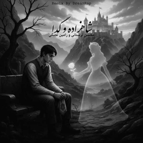 دانلود ریمیکس محسن لرستانی و رامین تجنگی شاهزاده و گدا دانلود ریمیکس محسن لرستانی و رامین تجنگی شاهزاده و گدا