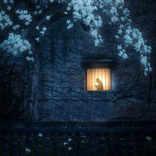 دانلود ریمیکس تو بگو بهشت کدومه رمان اولور یازسام سنی