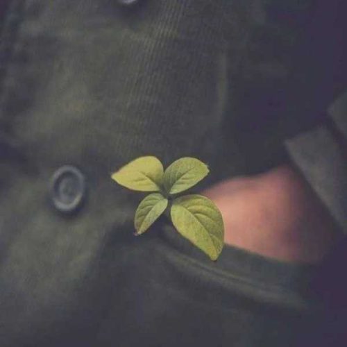 دانلود آهنگ عزیزم از تو یه روز فاصله کم نیست